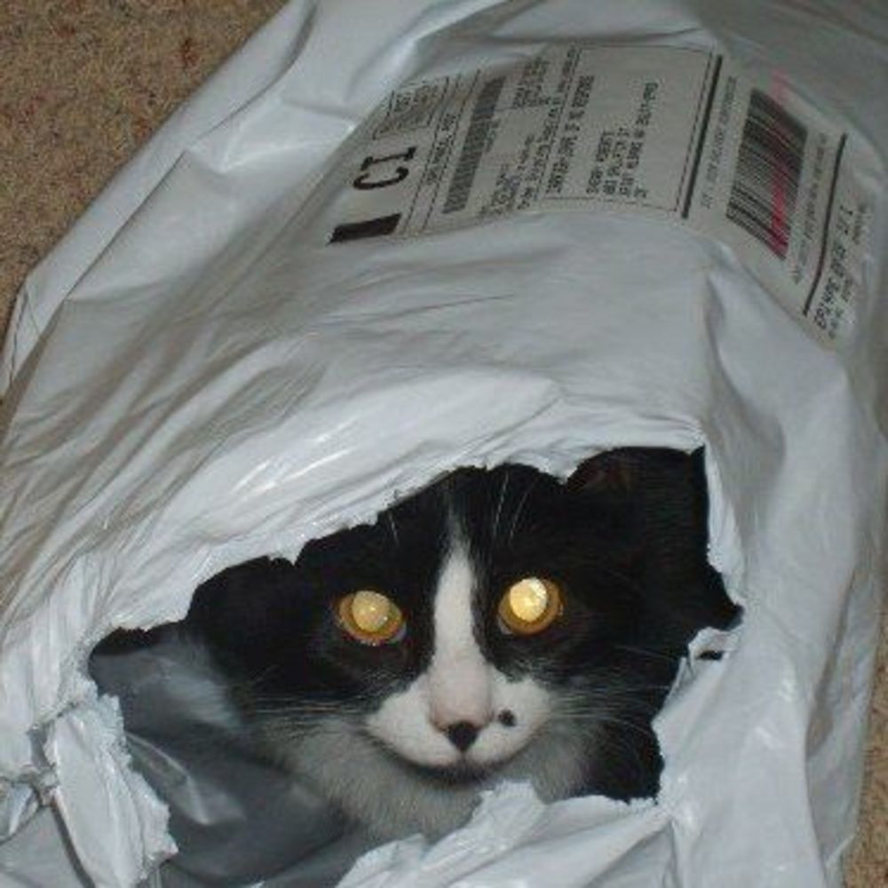 Meet your Posher, Sherry